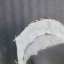 21세기종합상사 이미지