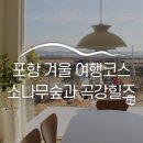 [포항 겨울 여행코스] 사계절 싱그러운 북송리 북천수 소나무숲과 흥해 곡강힐즈 카페 :: 포항여행...