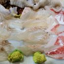 은지마차 이미지