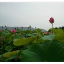 안압지농장 이미지