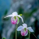 서정고등학교 이미지