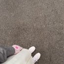 풋조이롯데 | [부산 서면] 롯데백화점 부산본점 풋조이, 신상 치마바지 구매 후기