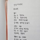 꽃힘