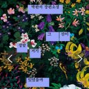 태산물산 | 그 산이 정말 거기 있었을까 / 박완서