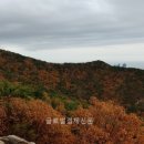 장산글로벌 글로벌경제신문