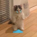 21세기미 | 다사다난 한 6월 Zip.