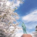 창가(한국SGI) 이미지