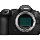 크롭체크코리아 이미지