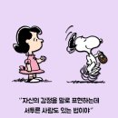 탑스뷰티