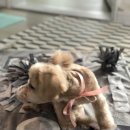 우주를 줄개 이미지