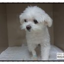 미드미 동물의료센터 이미지