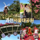 과천 서울대공원 장미원 테마가든 장미축제 실시간 주차 꿀팁 입장료