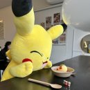 남해한방족발 | [26.04] 남해여행 맛집 "어글리 라이스&남해한방족발보쌈&더풀버거"