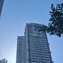 GS자이세탁소 | 부산남구GS하이츠자이 거주청소 후기 긴급요청