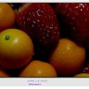 낑깡이랑 이미지