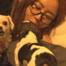 와와농장 이미지