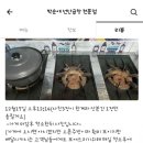 박순애선산곱창