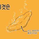 베이스캠프
