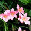 스마트PC카페 이미지