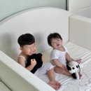 레우토 아기 매트리스 토퍼 이미지