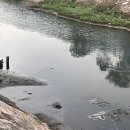 성원축산 이미지