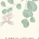 교회의 사명 이미지