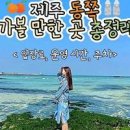 제주도 가볼만한곳 제주도 동쪽 서쪽 여행 코스 이미지