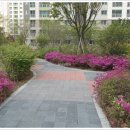 퍼스트플러스공인중개사사무소 이미지