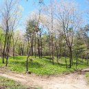 미리내농장 이미지