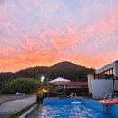 파레사애견풀빌라 이미지