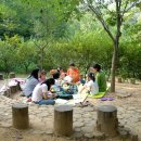 맑은동심유치원 이미지