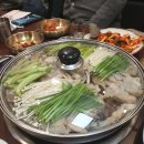 해금강복어 이미지