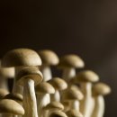 중앙피부과의원 이미지