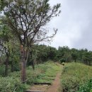 문수사 주차장 이미지