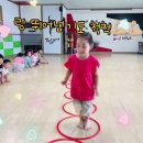 타이곤체육관 Daum카페