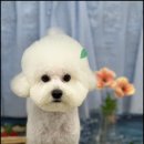 몽개구름 이미지