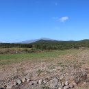 머체왓숲길영농조합 이미지