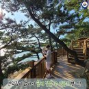 숲속의바다