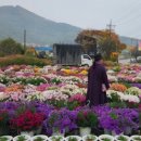 맑은샘농장 이미지