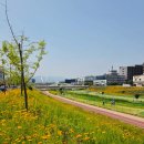 율하천자전거길 이미지