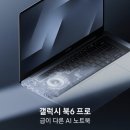 나운시즌