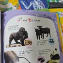 과학동화&놀이 | 뉴 스마트 첫 과학동화 솔직 후기