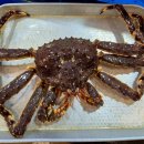 우정포장 | 노량진수산시장 킹크랩 포장 전문 우정수산, 시세 후기