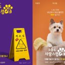 더 사랑스럽개 이미지