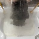 라벨르헤어(La belle hair) | 대구 북구 칠곡 미용실 : 라벨르헤어 코즈미코 두피케어 스파 후기