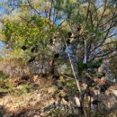 원주백세약국 이미지