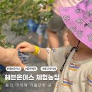 하나래농장 | 용인 아이와 가볼만한 곳 헤븐온어스 농장체험 후기