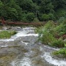 법수치계곡 펜션 꿈꾸는 숲 이미지