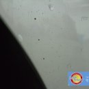 스마트 광택 이미지