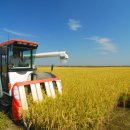 결성농요농사박물관 이미지